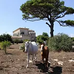 Tempio Di Luce וילה רגוזה