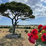 Tempio Di Luce *