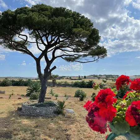 Tempio Di Luce *
