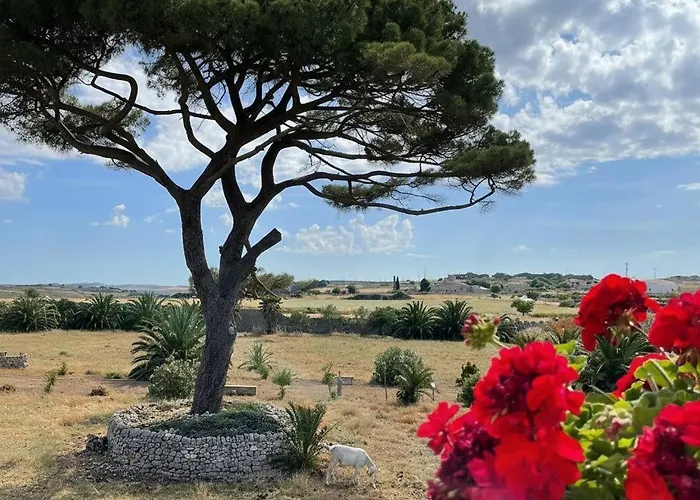 Tempio Di Luce *